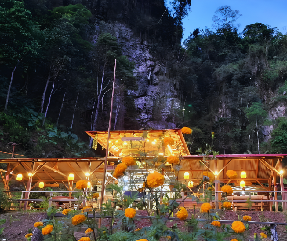 Sabor y Naturaleza: Ayuda en Restaurante Amazónico